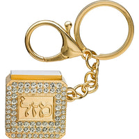 מחזיק מפתחות 